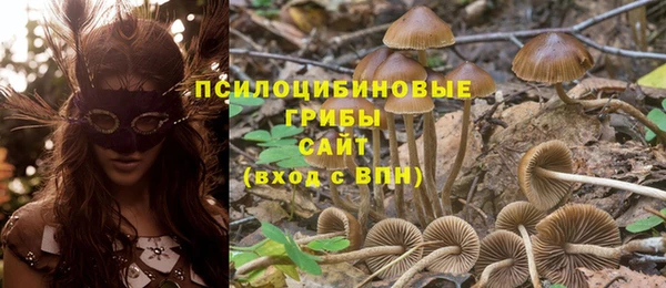 СК Гусев