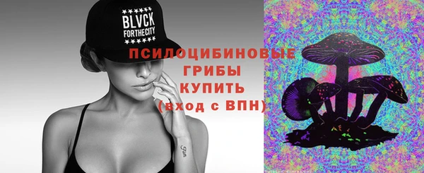 мескалин Ельня