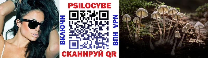 Купить где  Короча  Псилоцибиновые грибы мицелий 