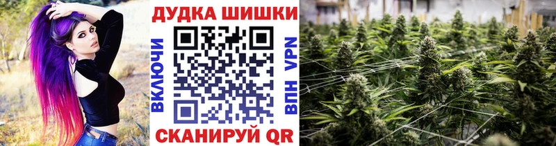 Каннабис сатива  Купить закладки  Короча 
